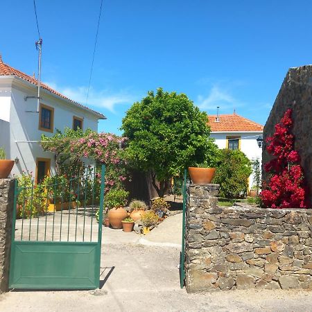 O Ninho Do Rei Daire Vila de Rei Dış mekan fotoğraf
