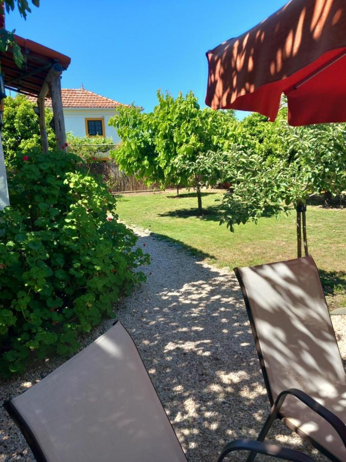 O Ninho Do Rei Daire Vila de Rei Dış mekan fotoğraf