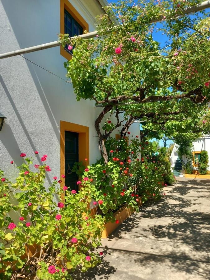 O Ninho Do Rei Daire Vila de Rei Dış mekan fotoğraf