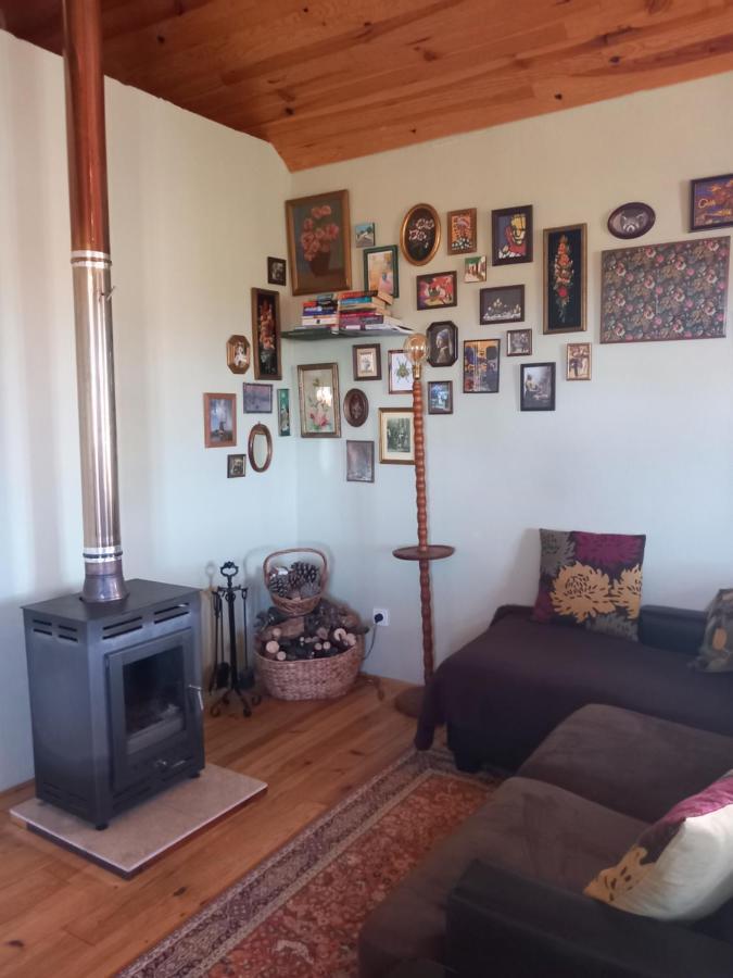 O Ninho Do Rei Daire Vila de Rei Dış mekan fotoğraf
