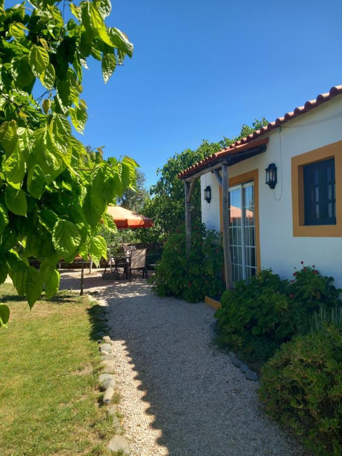 O Ninho Do Rei Daire Vila de Rei Dış mekan fotoğraf