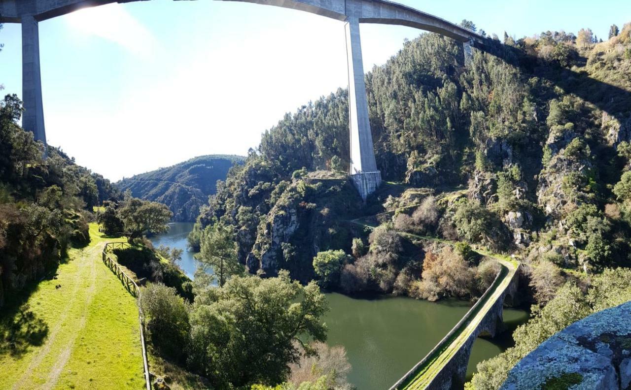 O Ninho Do Rei Daire Vila de Rei Dış mekan fotoğraf
