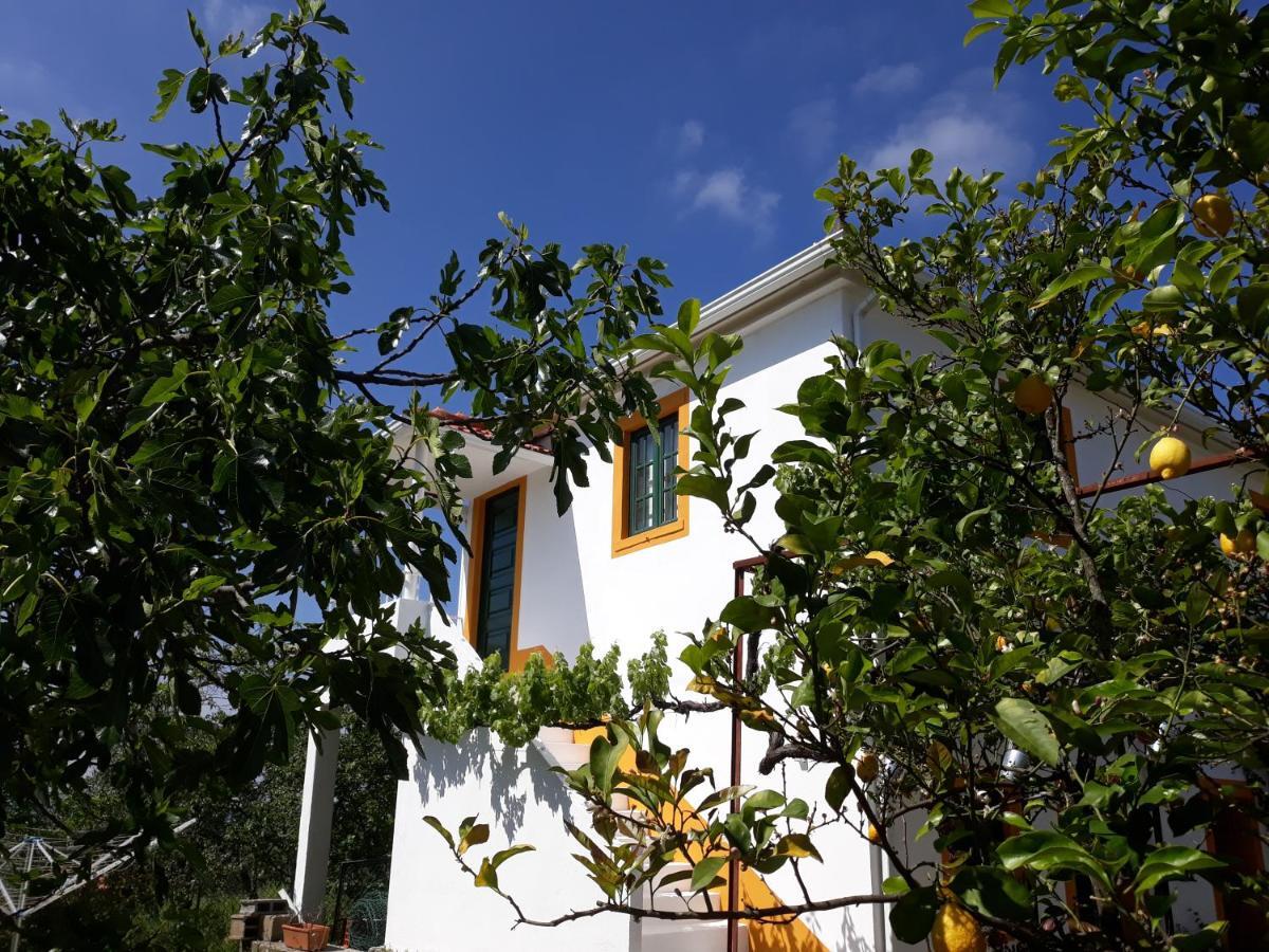 O Ninho Do Rei Daire Vila de Rei Dış mekan fotoğraf